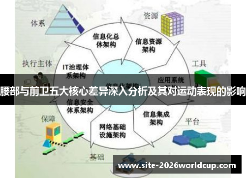 腰部与前卫五大核心差异深入分析及其对运动表现的影响
