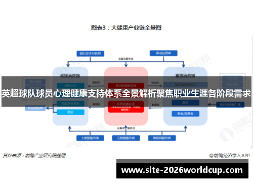 英超球队球员心理健康支持体系全景解析聚焦职业生涯各阶段需求