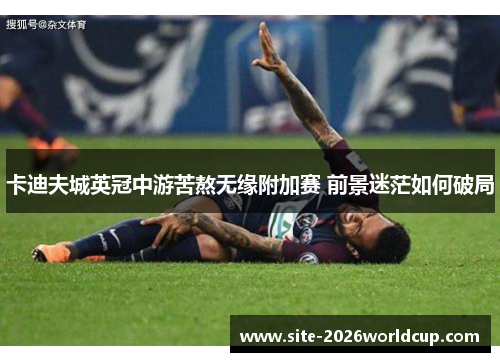 卡迪夫城英冠中游苦熬无缘附加赛 前景迷茫如何破局